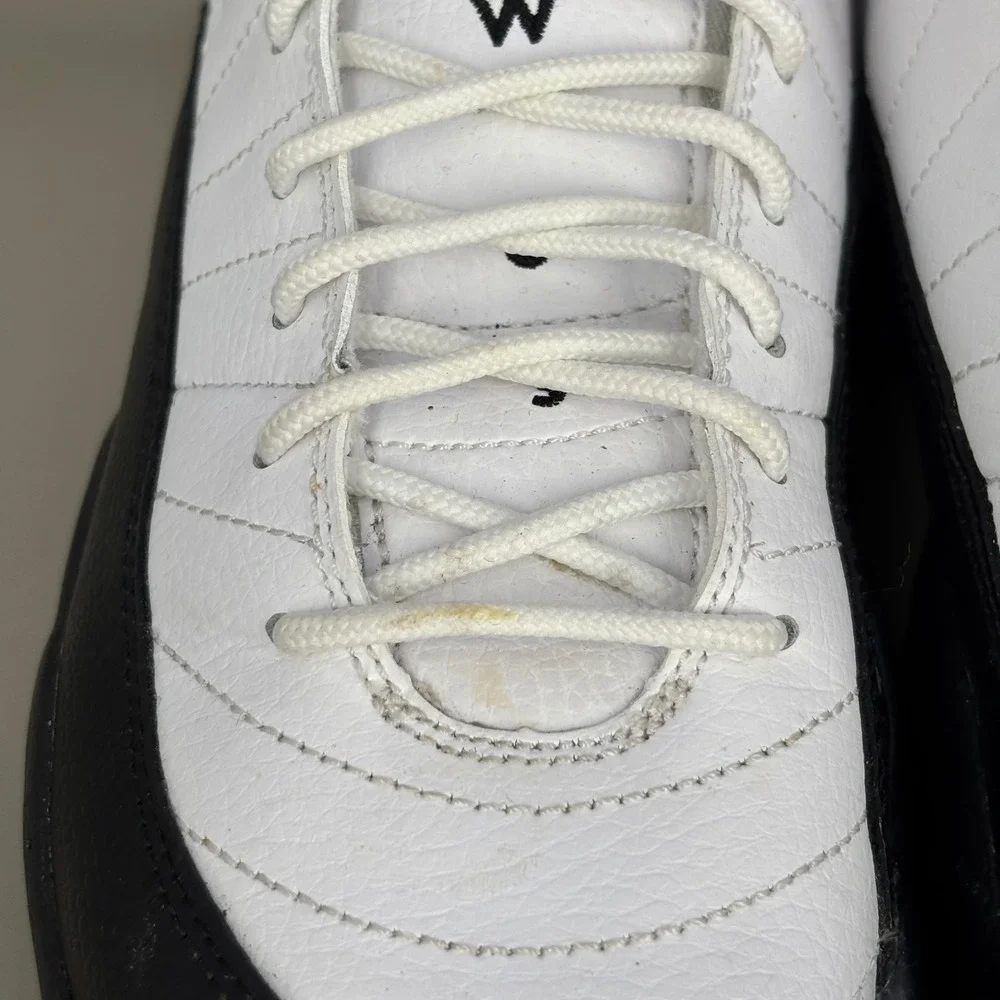 Jordan 12 retro